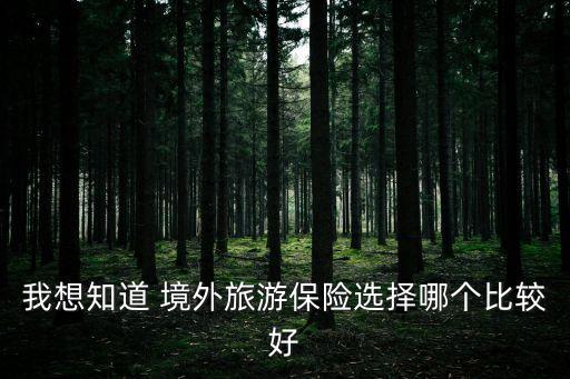 我想知道 境外旅游保險選擇哪個比較好