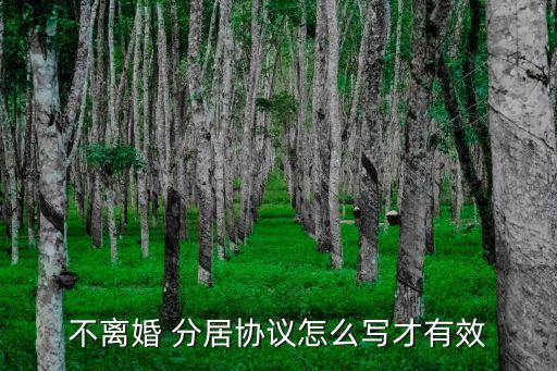 分居協(xié)議書范文2019