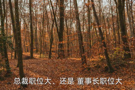 總裁職位大、還是 董事長(zhǎng)職位大