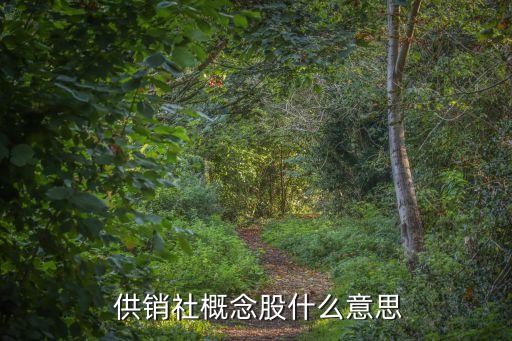  供銷社概念股什么意思