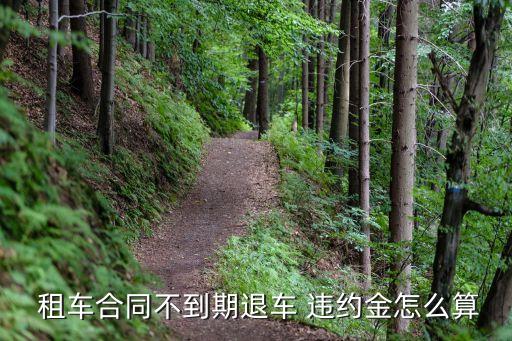 租車合同不到期退車 違約金怎么算