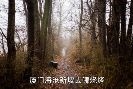  廈門海滄新垵去哪燒烤