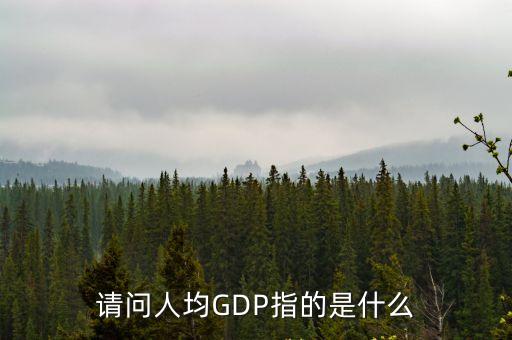 請(qǐng)問人均GDP指的是什么