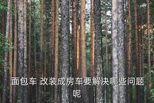  面包車 改裝成房車要解決哪些問題呢