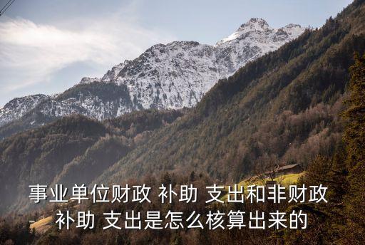 補助支出,事業(yè)單位對個人和家庭的補助支出