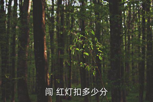 闖 紅燈扣多少分