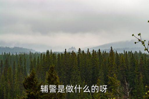 警務輔助人員