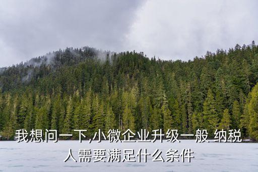 一般納稅人資質(zhì),什么是一般納稅人資質(zhì)