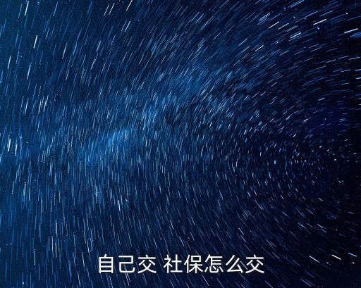 自己交 社保怎么交