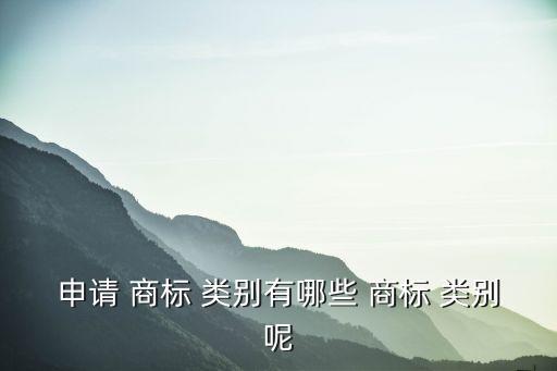 申請(qǐng) 商標(biāo) 類別有哪些 商標(biāo) 類別呢