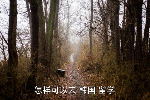 如何去韓國(guó)留學(xué),去韓國(guó)留學(xué)的條件