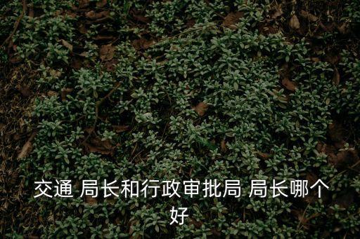  交通 局長(zhǎng)和行政審批局 局長(zhǎng)哪個(gè)好