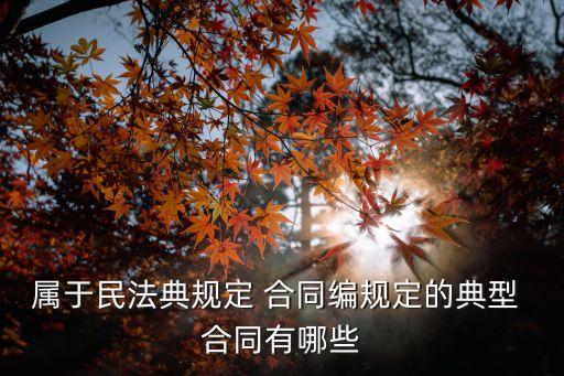 屬于民法典規(guī)定 合同編規(guī)定的典型 合同有哪些