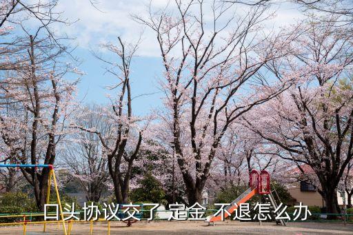 口頭協(xié)議交了 定金 不退怎么辦