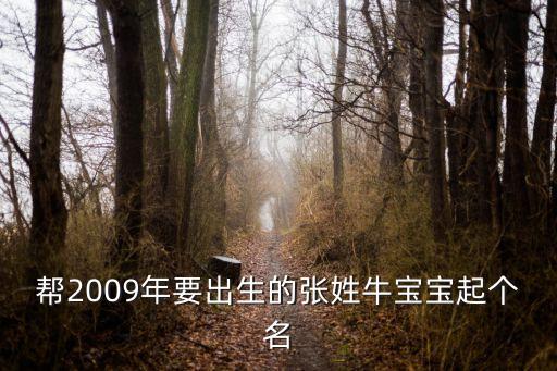 幫2009年要出生的張姓牛寶寶起個(gè)名