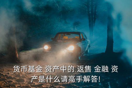 買入返售金融資產(chǎn)
