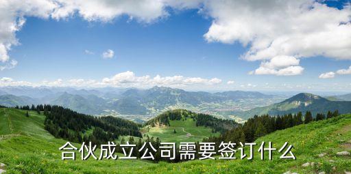  合伙成立公司需要簽訂什么