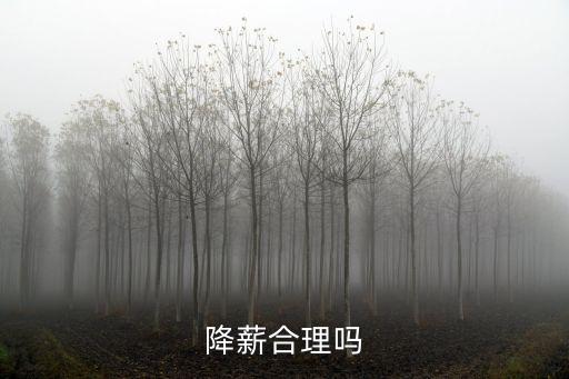降薪合理嗎