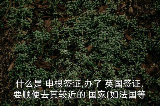 什么是 申根簽證,辦了 英國簽證,要順便去其較近的 國家(如法國等