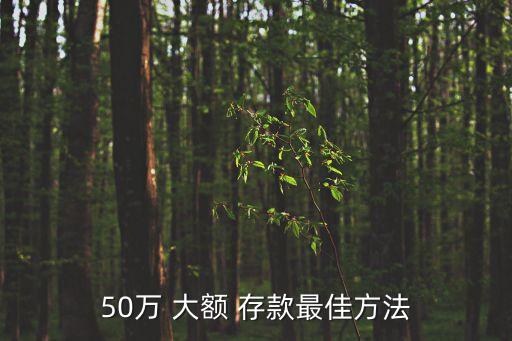 大額存款怎么存
