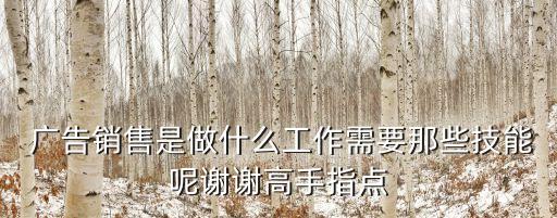  廣告銷售是做什么工作需要那些技能呢謝謝高手指點