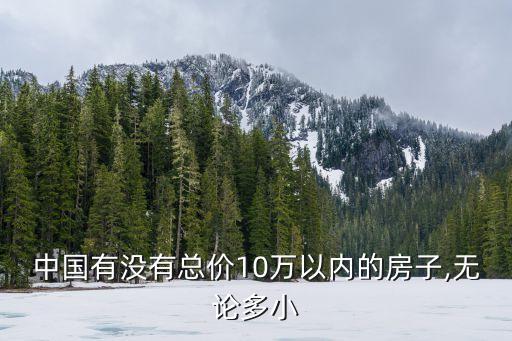 中國(guó)有沒有總價(jià)10萬以內(nèi)的房子,無論多小