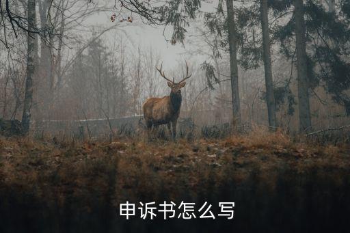  申訴書怎么寫