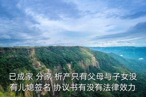分家析產(chǎn)協(xié)議書,農(nóng)村分家析產(chǎn)協(xié)議書