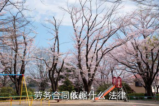  勞務合同依據什么 法律