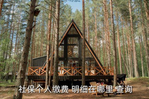 社保查詢個(gè)人賬戶明細(xì),重慶社保查詢個(gè)人賬戶明細(xì)