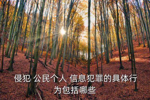 侵犯公民個(gè)人信息