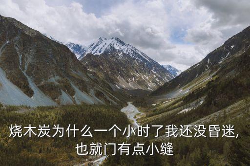 燒碳自殺