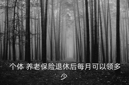  個(gè)體 養(yǎng)老保險(xiǎn)退休后每月可以領(lǐng)多少