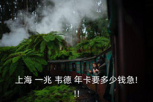 上海 一兆 韋德 年卡要多少錢急!!!