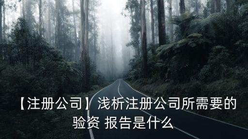 驗(yàn)資報(bào)告是什么,幼兒園的驗(yàn)資報(bào)告是什么