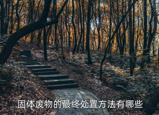  固體廢物的最終處置方法有哪些