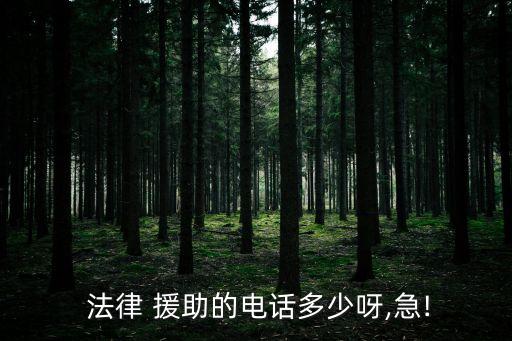  法律 援助的電話多少呀,急!