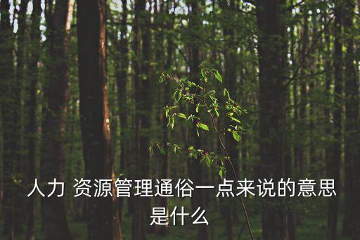  人力 資源管理通俗一點(diǎn)來(lái)說(shuō)的意思是什么