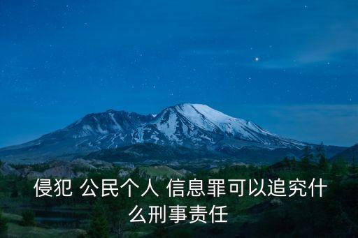  侵犯 公民個(gè)人 信息罪可以追究什么刑事責(zé)任