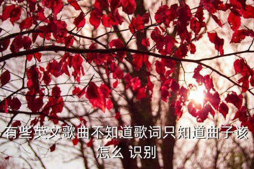 聽音識(shí)別英語在線,語音識(shí)別在線翻譯器