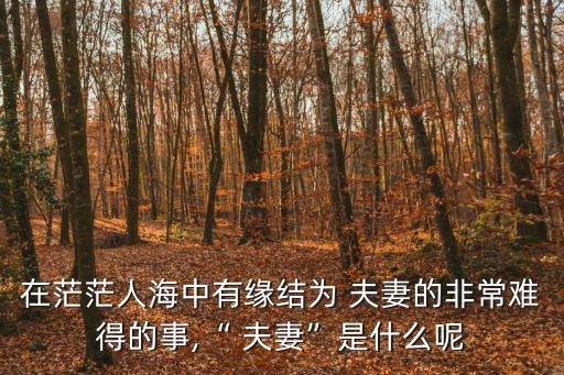 何為夫妻