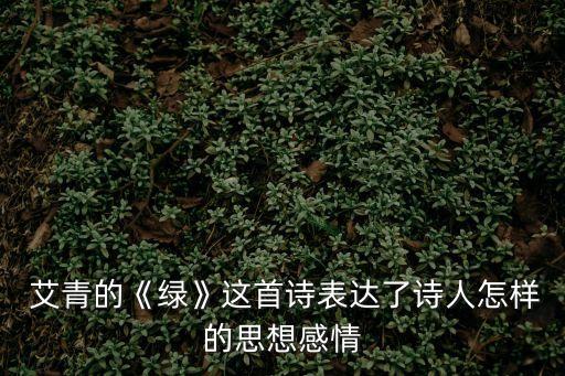 綠艾青