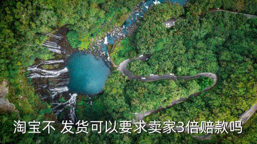 淘寶不 發(fā)貨可以要求賣家3倍賠款嗎