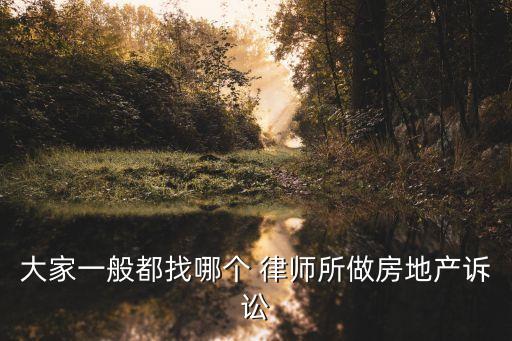 大家一般都找哪個(gè) 律師所做房地產(chǎn)訴訟
