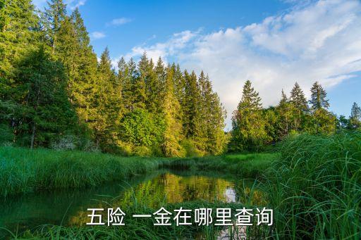 五險(xiǎn) 一金在哪里查詢(xún)