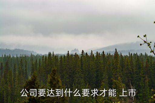 公司如何上市,公司上市需要什么條件