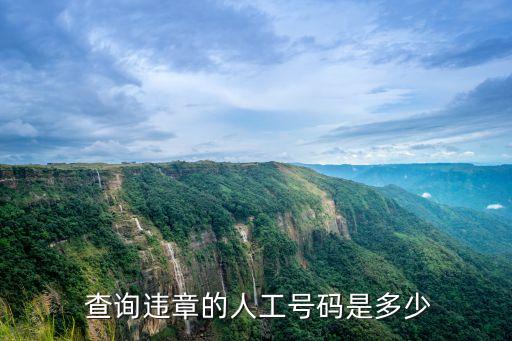 金華交通違章查詢