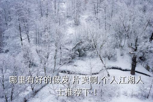 哪里有好的假發(fā) 片賣啊,個人江湖人士推薦下·!