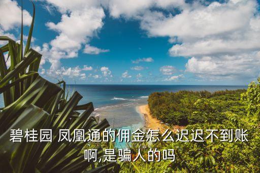 鳳凰通
