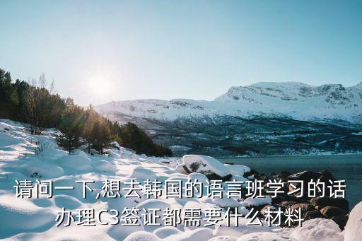 請問一下,想去韓國的語言班學習的話辦理C3簽證都需要什么材料